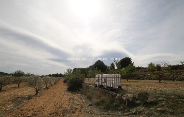 Resale - Country Property/Finca - Monóvar - Inland