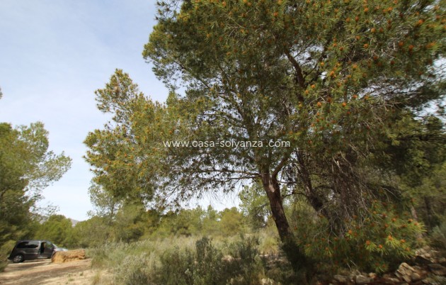 Resale - Country Property/Finca - Monóvar - Inland