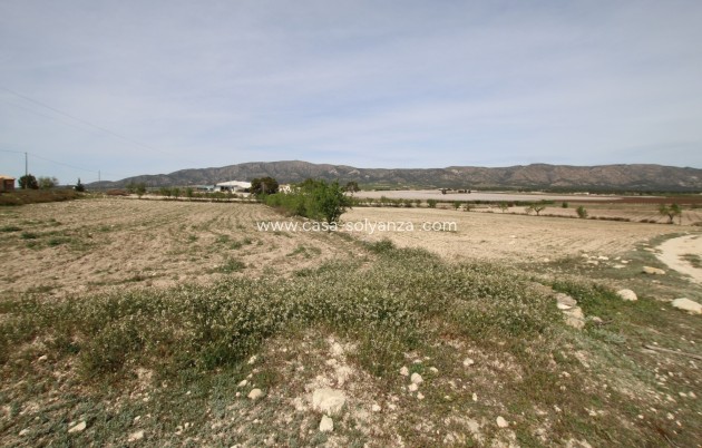 Resale - Country Property/Finca - Monóvar - Inland