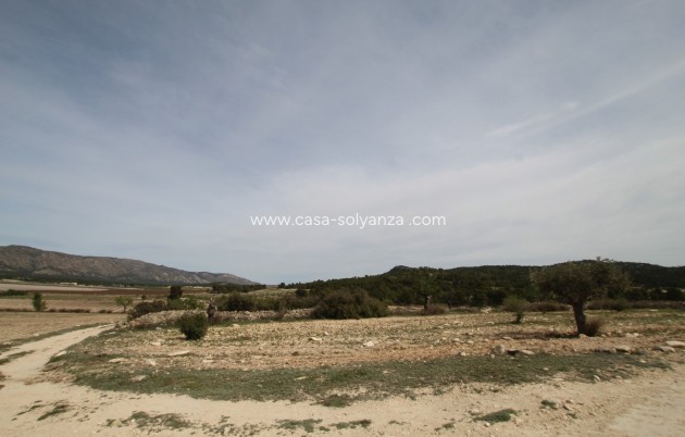 Resale - Country Property/Finca - Monóvar - Inland