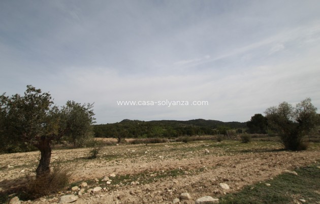 Resale - Country Property/Finca - Monóvar - Inland