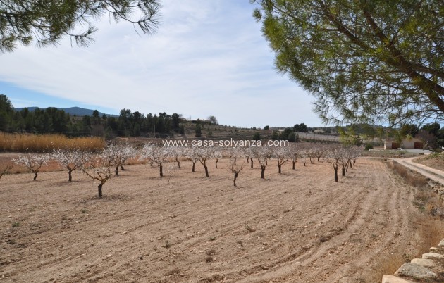 Resale - Country Property/Finca - Monóvar - Inland