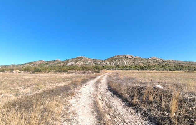 Herverkoop - Villa - Yecla - Inland