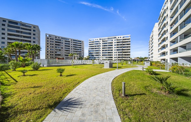 Herverkoop - Appartement / flat - Torrevieja - Punta Prima