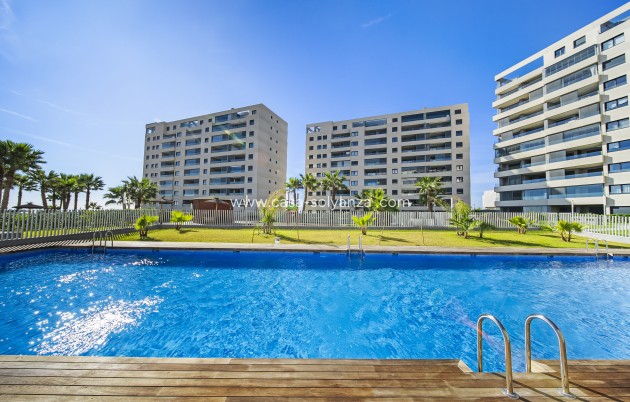 Herverkoop - Appartement / flat - Torrevieja - Punta Prima