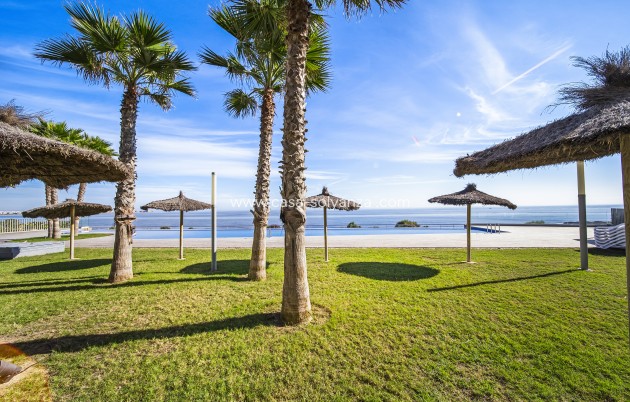 Herverkoop - Appartement / flat - Torrevieja - Punta Prima