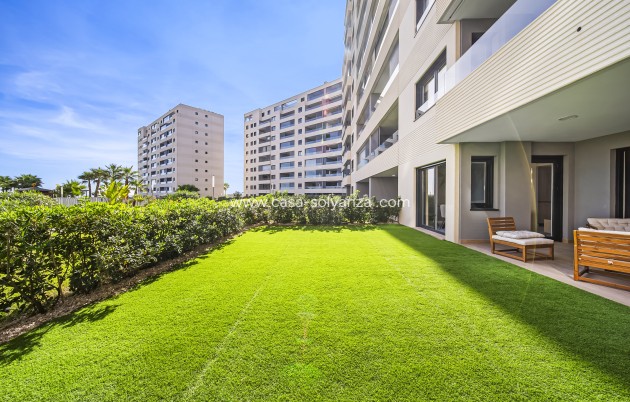 Herverkoop - Appartement / flat - Torrevieja - Punta Prima