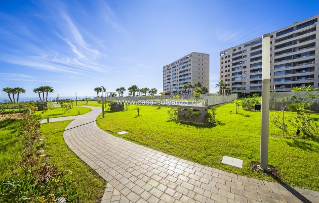 Herverkoop - Appartement / flat - Torrevieja - Punta Prima