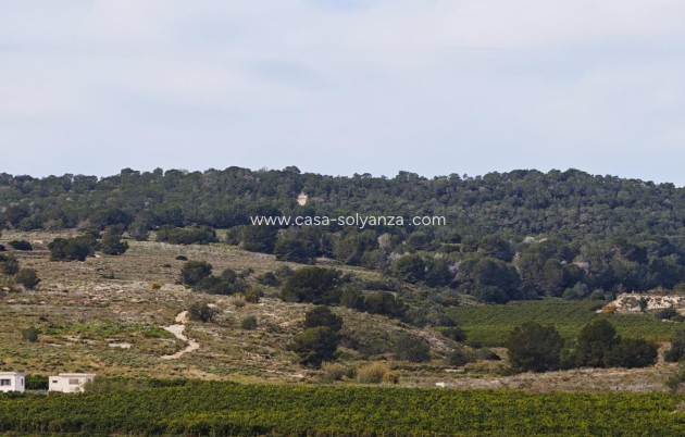 Herverkoop - Appartement / flat - San Miguel de Salinas - Pueblo 9