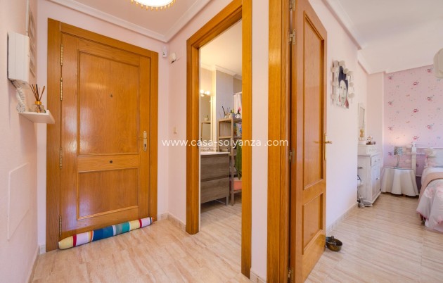 Herverkoop - Appartement / flat - Torrevieja - Center
