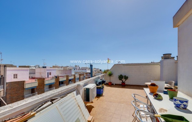 Herverkoop - Appartement / flat - Torrevieja - Center