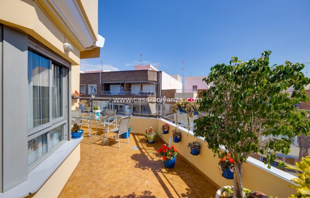 Revente - Appartement - Torrevieja - Center
