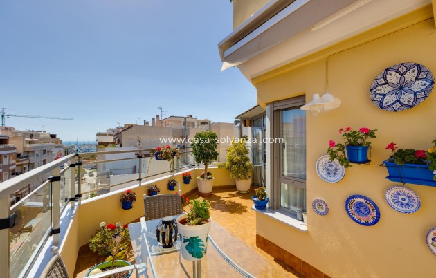 Revente - Appartement - Torrevieja - Center