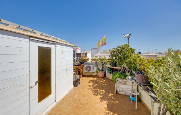 Revente - Appartement - Torrevieja - Center