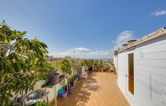 Revente - Appartement - Torrevieja - Center