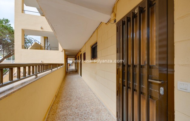 Herverkoop - Appartement / flat - Torrevieja - Cabo cervera