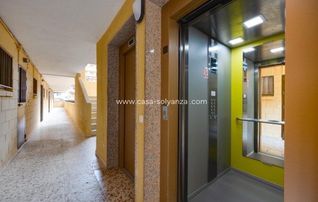 Herverkoop - Appartement / flat - Torrevieja - Cabo cervera