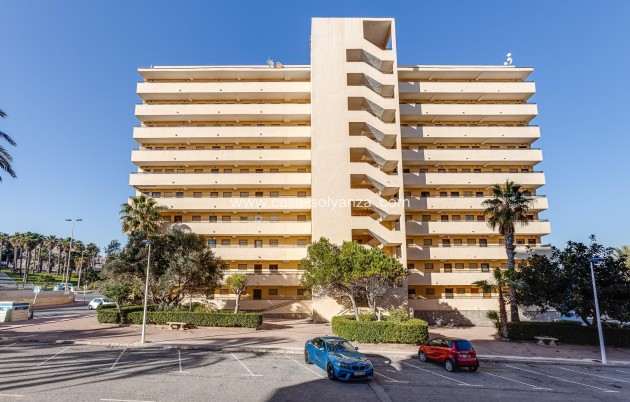 Herverkoop - Appartement / flat - Torrevieja - Cabo cervera