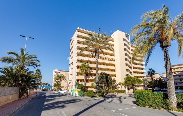 Herverkoop - Appartement / flat - Torrevieja - Cabo cervera