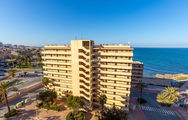 Herverkoop - Appartement / flat - Torrevieja - Cabo cervera