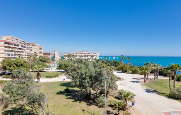 Herverkoop - Appartement / flat - Torrevieja - Cabo cervera