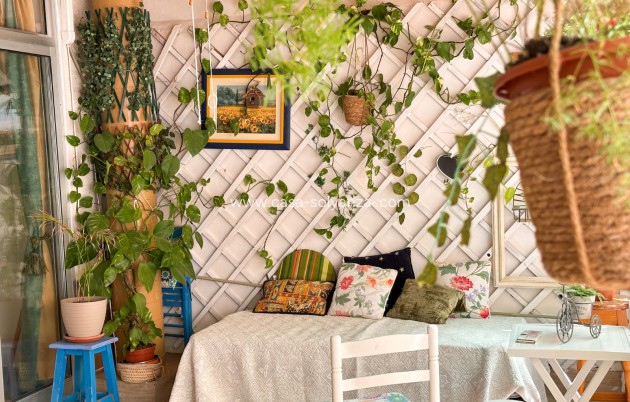 Wiederverkauf - Wohnung - Torrevieja - Costa Blanca