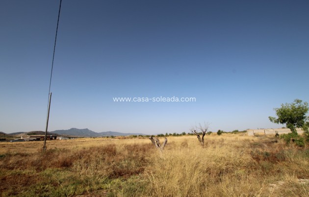 Revente - Country Property/Finca - Torre Del Rico - Inland