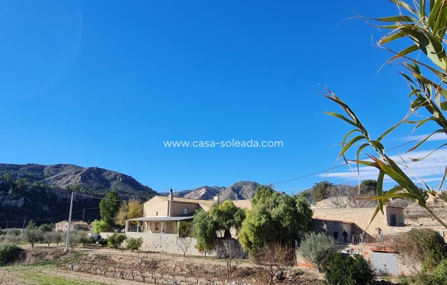 Wiederverkauf - Country Property/Finca - La Romana - Inland