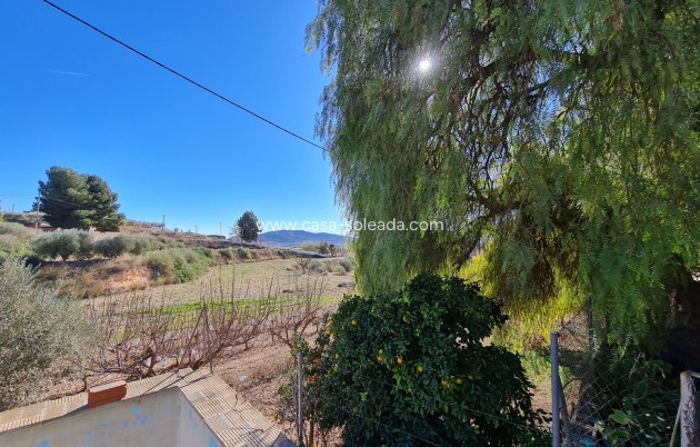 Wiederverkauf - Country Property/Finca - La Romana - Inland