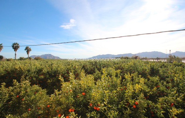 Herverkoop - Country Property/Finca - Murcia - Inland