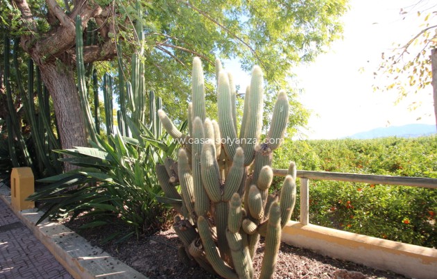 Herverkoop - Country Property/Finca - Murcia - Inland