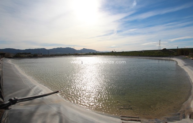 Herverkoop - Country Property/Finca - Murcia - Inland