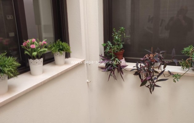 Herverkoop - Appartement / flat - Orihuela - Zona Centro