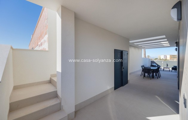 Obra nueva - Villa - Torrevieja - Sector 25