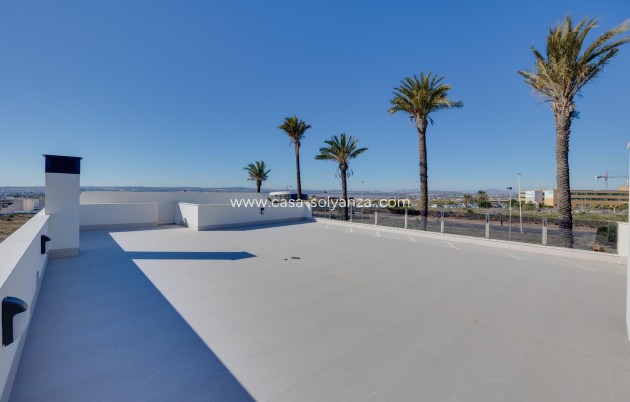 Obra nueva - Villa - Torrevieja - Sector 25