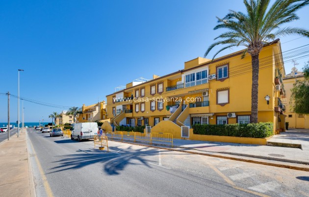 Herverkoop - Appartement / flat - Torrevieja - Eliseos playa