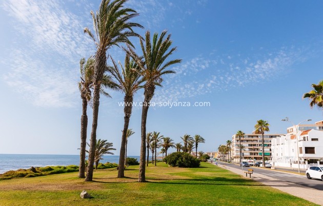 Herverkoop - Appartement / flat - Torrevieja - Eliseos playa