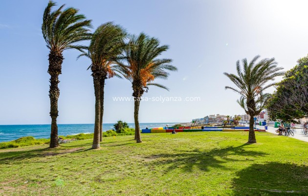 Herverkoop - Appartement / flat - Torrevieja - Eliseos playa