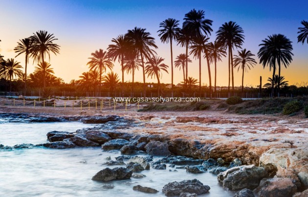 Herverkoop - Appartement / flat - Torrevieja - Eliseos playa