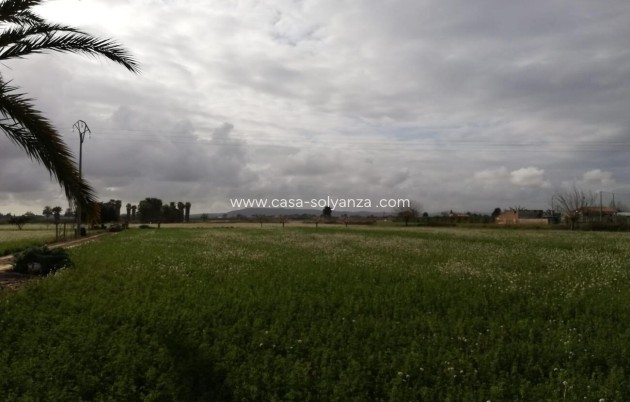 Resale - Country Property/Finca - Callosa de Segura - Costa Blanca
