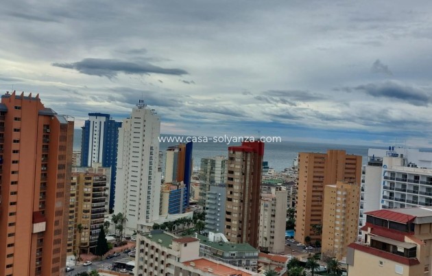 Herverkoop - Appartement / flat - Benidorm - Levante