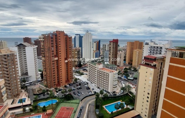 Herverkoop - Appartement / flat - Benidorm - Levante