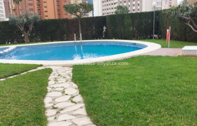 Herverkoop - Appartement / flat - Benidorm - Levante