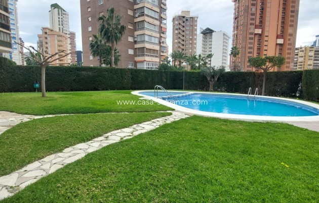 Herverkoop - Appartement / flat - Benidorm - Levante