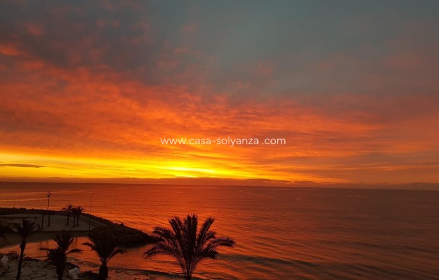 Herverkoop - Appartement / flat - Torrevieja - Las Piscinas Naturales