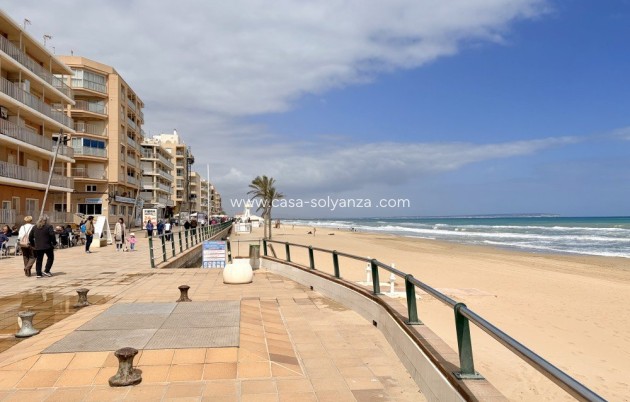 Herverkoop - Appartement / flat - Guardamar del Segura - Costa Blanca