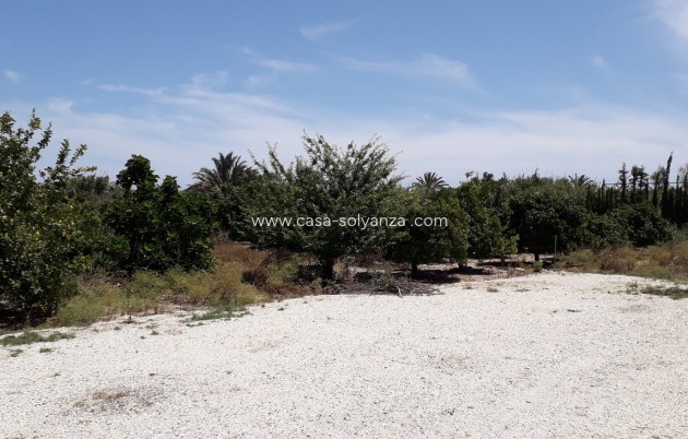 Resale - Country Property/Finca - Heredades - almoradi