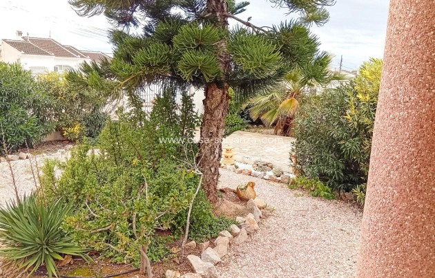 Herverkoop - Villa - Torrevieja - La Siesta