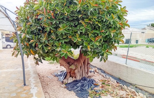 Herverkoop - Villa - Torrevieja - La Siesta