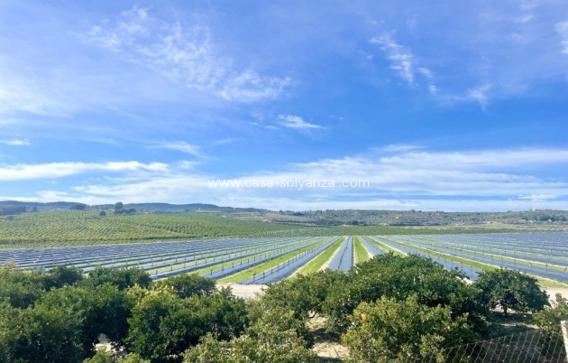 Herverkoop - Appartement / flat - Orihuela Costa - Costa Blanca